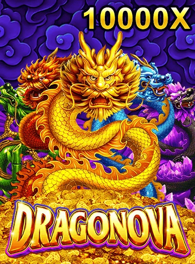 pp99 pp99
